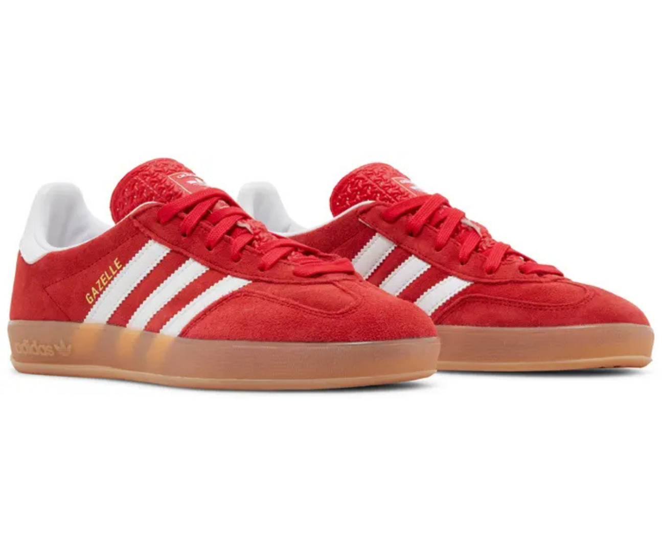 Gazelle Indoor Better Scarlet Gum